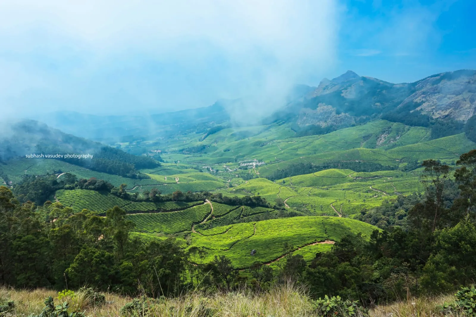 Emerald tea plantations around Chinnakanal, Munnar